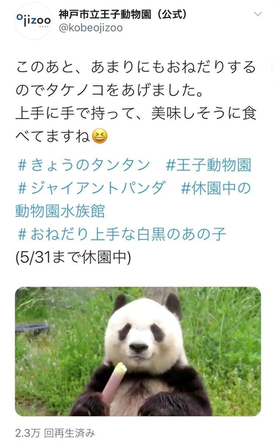王子動物園の公式ツイッターが５月１０日に投稿したパンダの動画