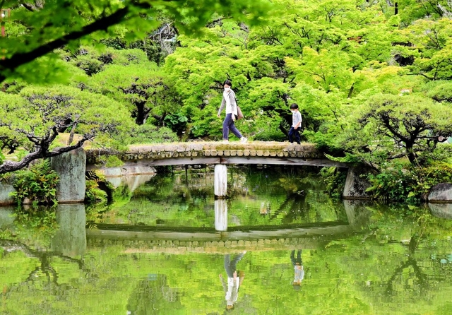 約４０日ぶりに再開し、新緑に包まれた園内を散策する親子＝１８日午前、神戸市中央区中山手通５、相楽園（撮影・中西幸大）