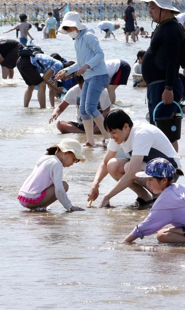 干潟でアサリを探す親子連れ＝２３日午後、姫路市的形町的形