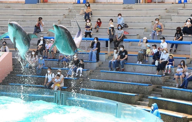 間隔を空けて座り、イルカのショーを楽しむ家族連れら＝２８日午前、神戸市立須磨海浜水族園（撮影・斎藤雅志）