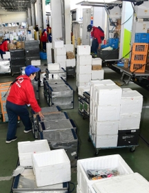 受注の急増を受け、出発直前まで積み込み作業に追われる配達員＝神戸市東灘区魚崎浜町