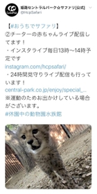 姫路セントラルパークの公式ツイッターが５月１０日に投稿したチーターの赤ちゃんの写真