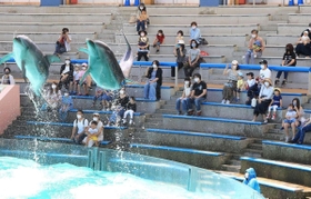 間隔を空けて座り、イルカのショーを楽しむ家族連れら＝２８日午前、神戸市立須磨海浜水族園（撮影・斎藤雅志）