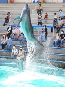 間隔を空けて座り、イルカのショーを楽しむ家族連れら＝２８日午前、神戸市立須磨海浜水族園（撮影・斎藤雅志）