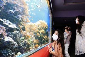 水槽の魚を鑑賞する親子連れ＝２８日午前、神戸市須磨区若宮町１、神戸市立須磨海浜水族園（撮影・斎藤雅志）