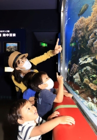 水槽の魚を鑑賞する親子連れ＝２８日午前、神戸市須磨区若宮町１、神戸市立須磨海浜水族園（撮影・斎藤雅志）