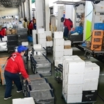 受注の急増を受け、出発直前まで積み込み作業に追われる配達員＝神戸市東灘区魚崎浜町
