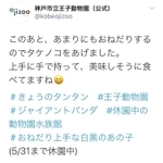 王子動物園の公式ツイッターが５月１０日に投稿したパンダの動画