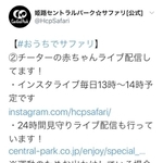 姫路セントラルパークの公式ツイッターが５月１０日に投稿したチーターの赤ちゃんの写真