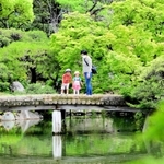 約４０日ぶりに再開し、新緑に包まれた園内を散策する親子＝１８日午前、神戸市中央区中山手通５、相楽園（撮影・中西幸大）