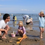 干潟でアサリを探す親子連れ＝２３日午後、姫路市的形町的形