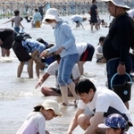 干潟でアサリを探す親子連れ＝２３日午後、姫路市的形町的形