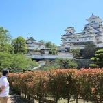 ５０日ぶりに屋外での見学を再開した世界文化遺産・国宝姫路城＝２８日午前、姫路市本町（撮影・小林良多）