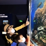 水槽の魚を鑑賞する親子連れ＝２８日午前、神戸市須磨区若宮町１、神戸市立須磨海浜水族園（撮影・斎藤雅志）