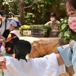 営業再開した「神戸どうぶつ王国」。生き物と触れ合う子どもたちの笑顔がこぼれた＝２９日午前、神戸市中央区港島南町７、神戸どうぶつ王国（撮影・秋山亮太）