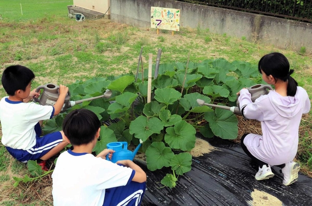 地域住民が提供した農園で野菜を世話する子どもたち。自然との触れ合いを楽しんでいる＝南あわじ市、淡路学園（同園提供）