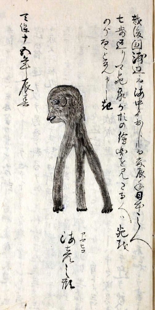 アマビエのモデルになったとみられる「アマビコ」の一例（福井県立図書館蔵）