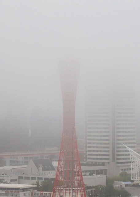 濃霧で上部が隠れたポートタワー＝２６日午前６時５７分、神戸市中央区波止場町（撮影・斎藤雅志）