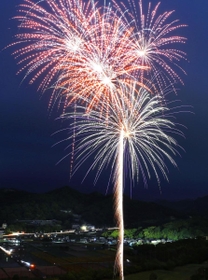 コロナ禍終息を願い、夜空に打ち上げられた花火＝１日夜、たつの市神岡町田中、龍野クラシックゴルフ倶楽部（撮影・小林良多）