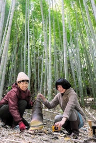 幼竹を収穫するプロジェクトチームのメンバー。里山環境の整備と特産品化を目指す＝洲本市内