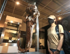 世界各国の怪物たちを紹介する「驚異と怪異」展の会場＝２３日午前、姫路市本町（撮影・小林良多）