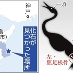 神戸新聞ＮＥＸＴ