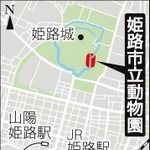 神戸新聞ＮＥＸＴ