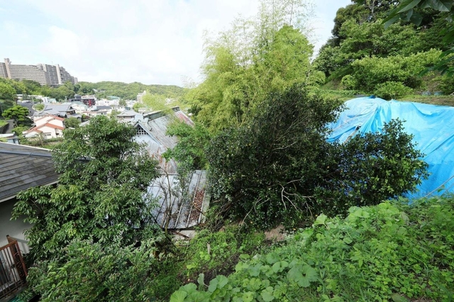 斜面の木が滑り落ち、水色の屋根の民家に土砂とともに流れ込んだ土砂崩れ現場。斜面にはブルーシートがかけられていた＝８日午前、神戸市須磨区（撮影・鈴木雅之）