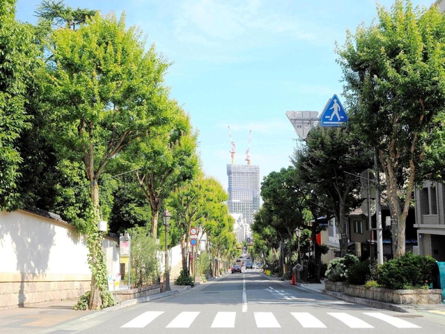 まるでアビーロード！？＝神戸市中央区、北野坂（神戸観光局提供）