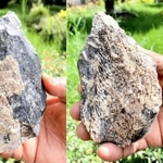 カバの骨で作られた手おの（ｃ）Ｂｅｒｈａｎｅ　Ａｓｆａｗ