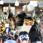昨年の「毛獅子」の様子＝姫路市大塩町、大塩天満宮