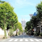 まるでアビーロード！？＝神戸市中央区、北野坂（神戸観光局提供）