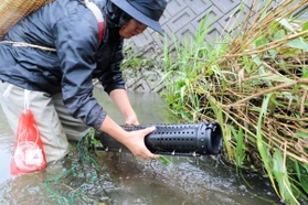 加古川水系の下流域でウナギ漁の仕掛けを確認する福井孝佳さん＝加古川市内