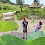 子どもたちに人気のハスの葉シャワー＝神戸市北区山田町藍那