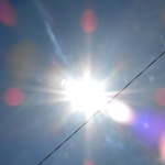 神戸新聞ＮＥＸＴ