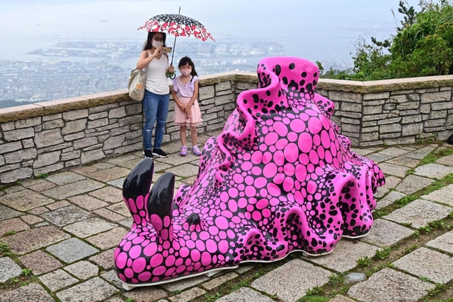 六甲ガーデンテラスの展望スペースに現れたアメフラシ＝１１日午前、神戸市灘区六甲山町