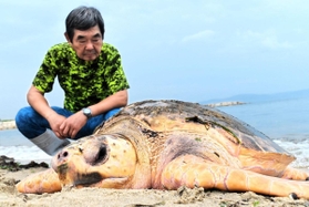 江井島海岸で見つかったアカウミガメ＝４日午前、明石市大久保町西島