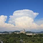 世界文化遺産・国宝姫路城の後ろにせり上がる入道雲＝１日午後、姫路市内