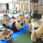 遊園地やデパート屋上などで活躍したメロディペットたち。この秋、インスタレーション作品に生まれ変わる＝神戸市灘区六甲山町、六甲有馬ロープウェー六甲山頂駅