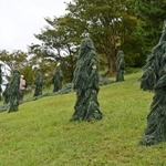 自然の風景に紛れ込む軍用品のギリースーツを使った作品＝１１日午前、神戸市灘区六甲山町