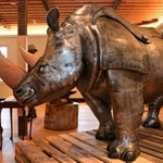 金属を金づちでたたいて形を作る「鍛金」の技法を用いて作られたサイ。動き出しそうな躍動感にあふれていた＝１１日午後、神戸市灘区六甲山町