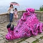 六甲ガーデンテラスの展望スペースに現れたアメフラシ＝１１日午前、神戸市灘区六甲山町