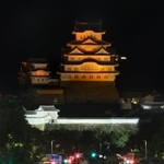 世界アルツハイマーデーに合わせ、オレンジ色に照らされた姫路城＝２１日夜、姫路市内