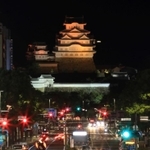 世界アルツハイマーデーに合わせ、オレンジ色に照らされた姫路城＝２１日夜、姫路市内