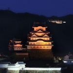 世界アルツハイマーデーに合わせ、オレンジ色に照らされた姫路城＝２１日夜、姫路市内