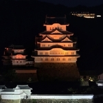 世界アルツハイマーデーに合わせ、オレンジ色に照らされた姫路城＝21日夜、姫路市内