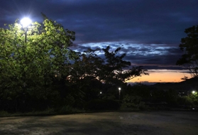 将太君が友人とよく集まっていた公園（撮影・辰巳直之）