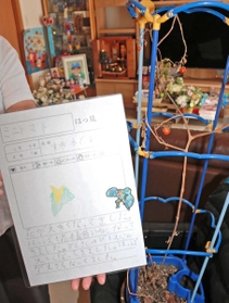 透君が成長を楽しみにしていたミニトマトと観察日記＝自宅で