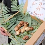 キロ単価５４７万円で競り落とされた丹波篠山産業マツタケ＝３日午前、丹波篠山市郡家、丹波篠山市場
