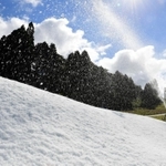 ゲレンデを白く染める人工雪＝１２日午前、神戸市灘区六甲山町北六甲、六甲山スノーパーク